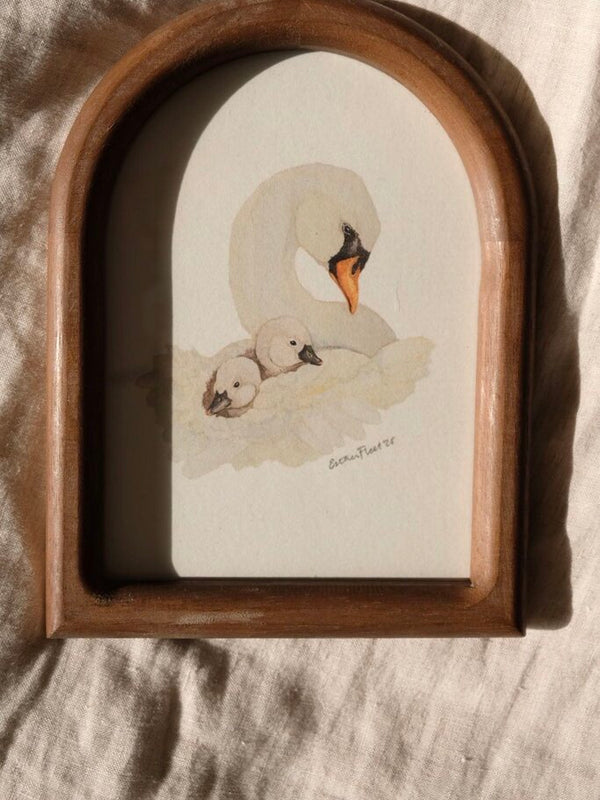 Swan & Cygnets *FRAMED*