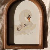 Swan & Cygnets *FRAMED*