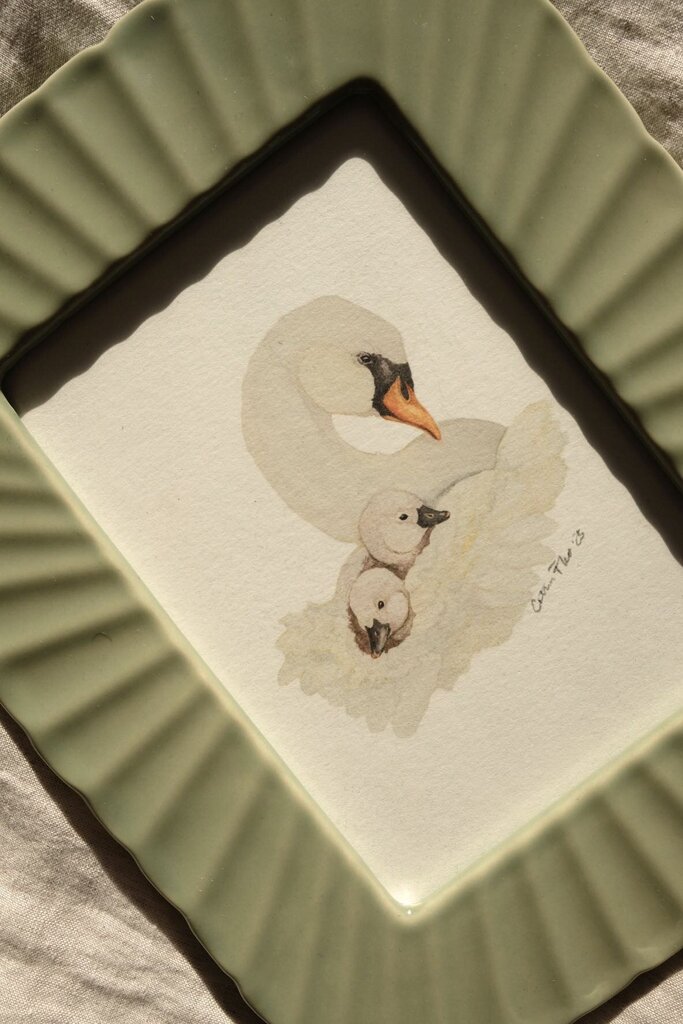 Swan & Cygnets *FRAMED*