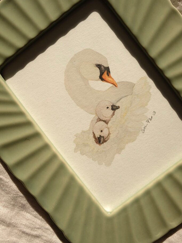 Swan & Cygnets *FRAMED*