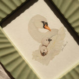 Swan & Cygnets *FRAMED*