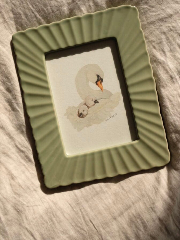 Swan & Cygnets *FRAMED*