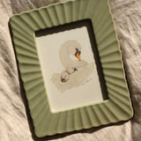 Swan & Cygnets *FRAMED*