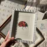 Ladybug *FRAMED*