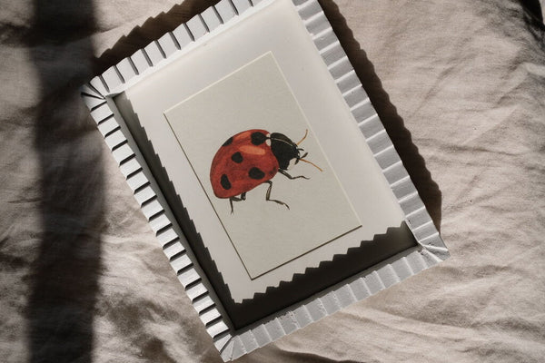 Ladybug *FRAMED*
