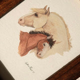 Shire Mare & Foal *FRAMED*