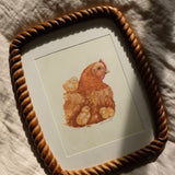 Hen & Chicks *FRAMED*