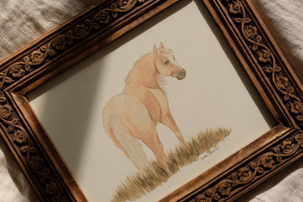 Palomino Mare *FRAMED*