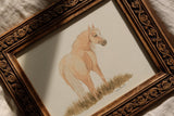 Palomino Mare *FRAMED*