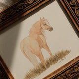 Palomino Mare *FRAMED*