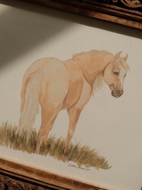 Palomino Mare *FRAMED*
