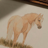Palomino Mare *FRAMED*