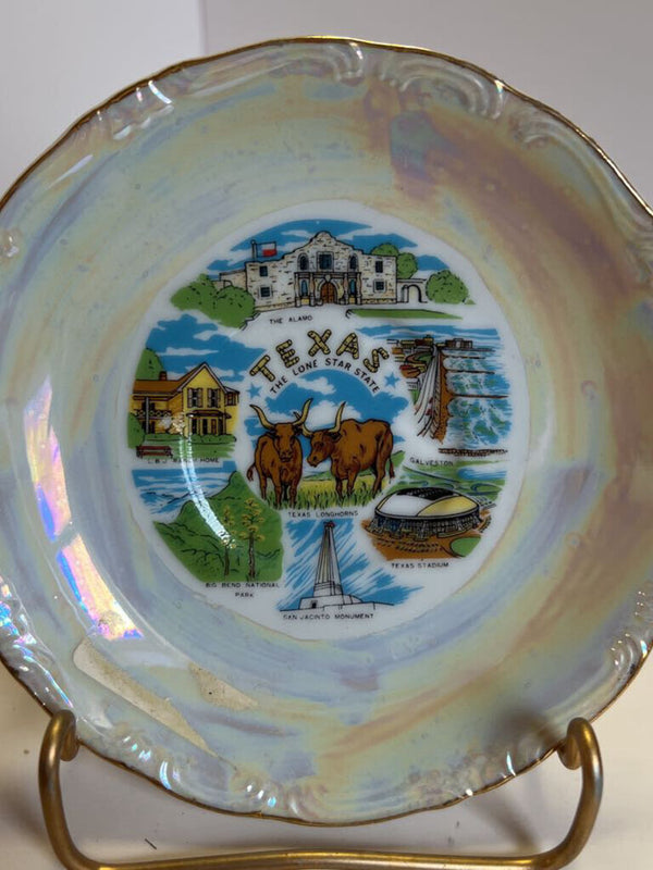 Souvenir Dish - Texas