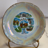 Souvenir Dish - Texas