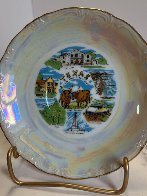 Souvenir Dish - Texas