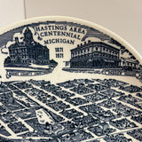Souvenir Plate - Hastings Area Michigan