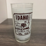 Idaho Souvenir Glass