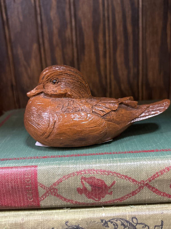 #505 Duck