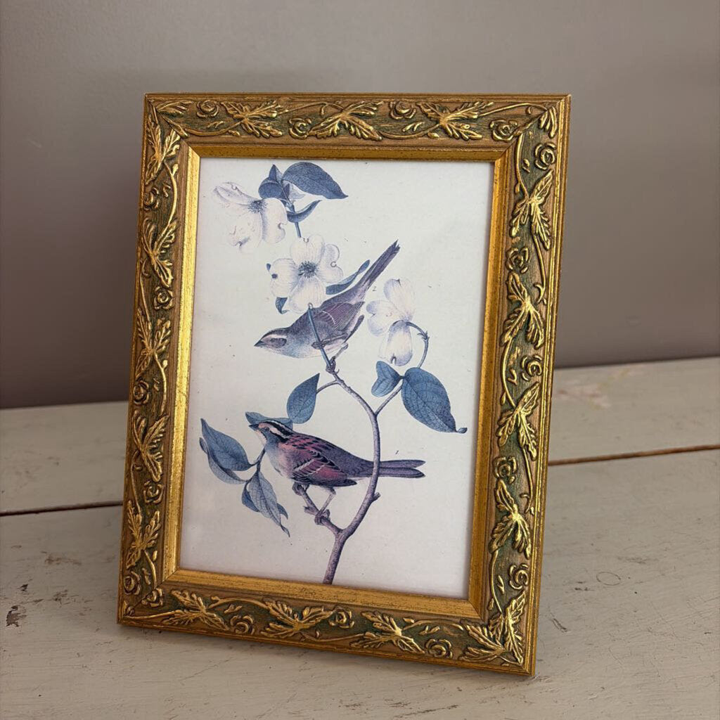 vintage bird print on gold frame