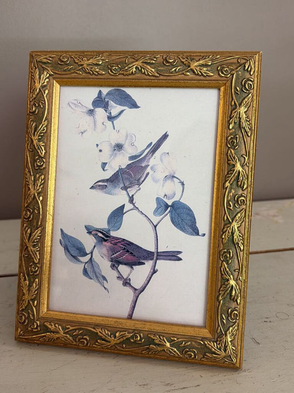 vintage bird print on gold frame