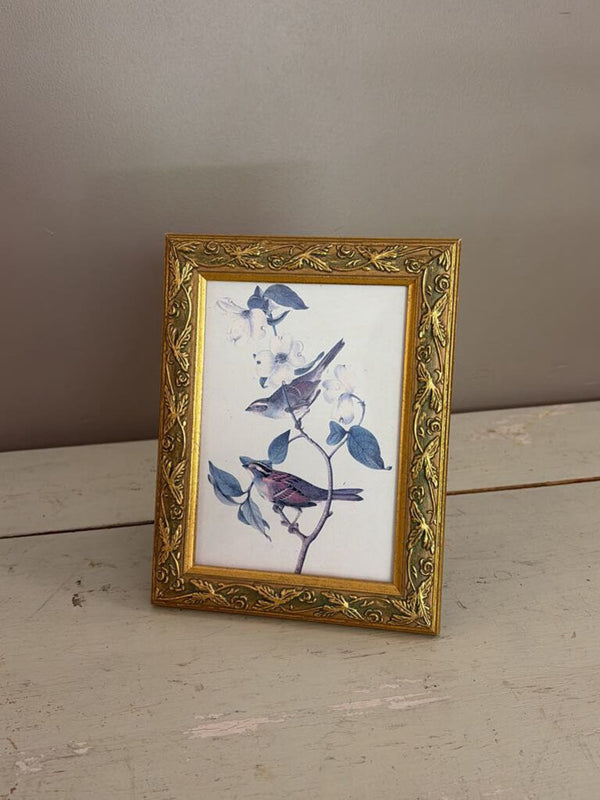 vintage bird print on gold frame