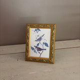 vintage bird print on gold frame