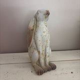sitting distressed bunny