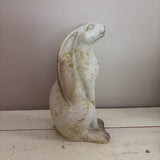 sitting distressed bunny