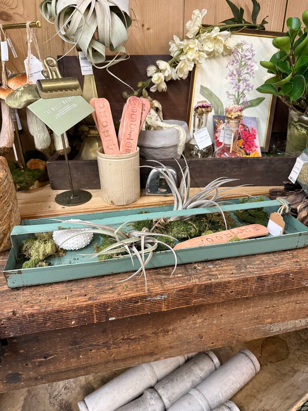 Robin’s egg blue tool tray