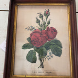 vintage framed rose print