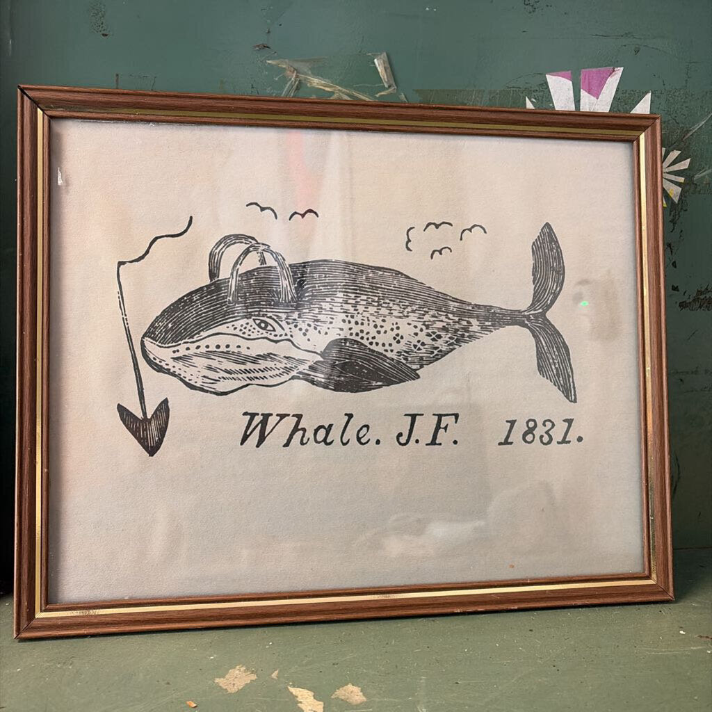 whale art