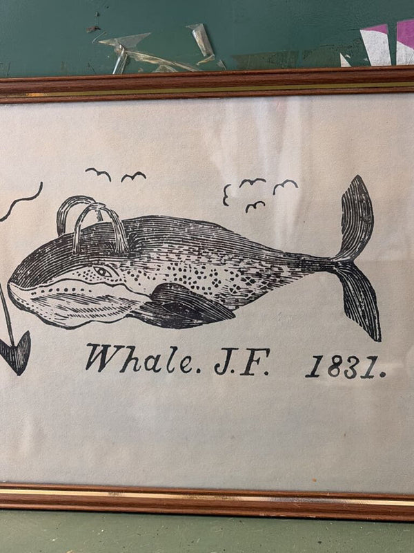 whale art