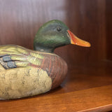 #556 Mallard Duck
