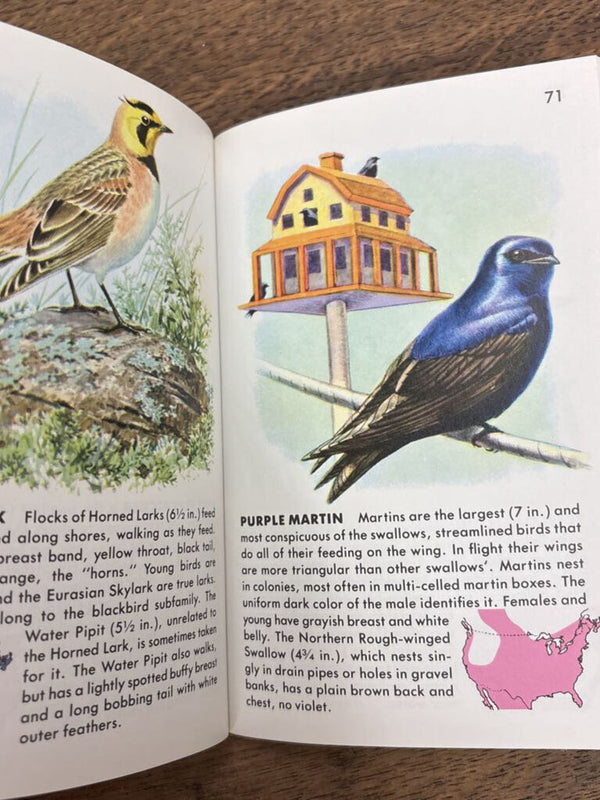 Pocket Golden Guide to Birds Book