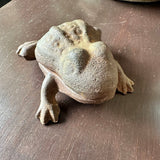 Cast Iron Froggy