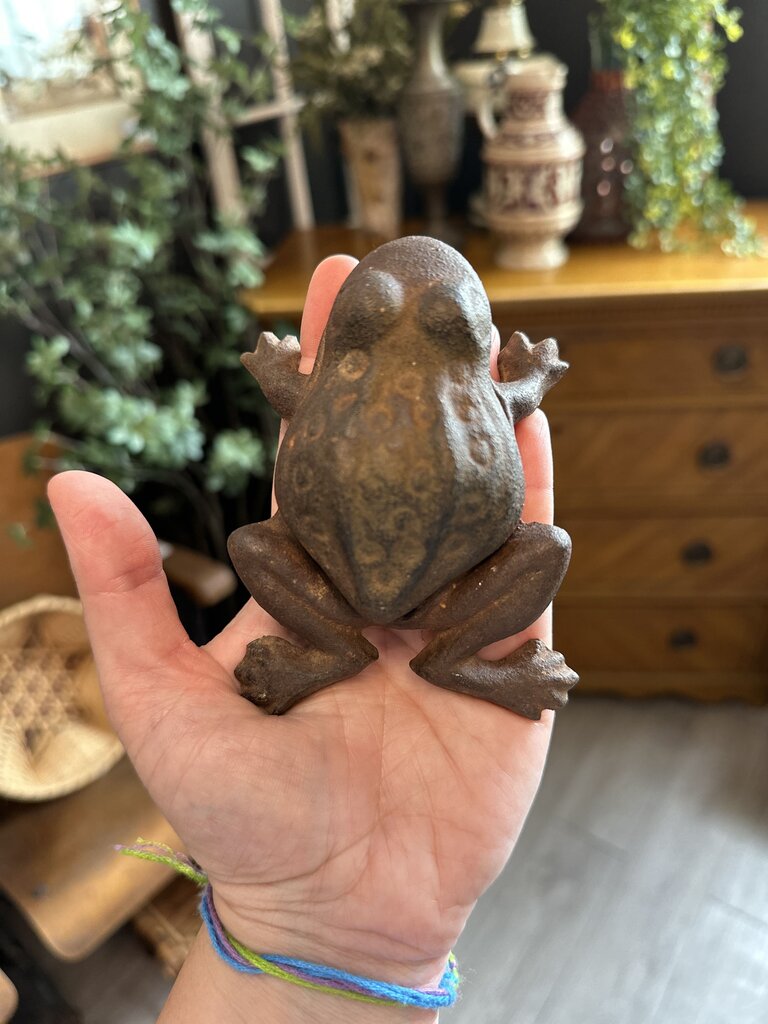 Cast Iron Froggy
