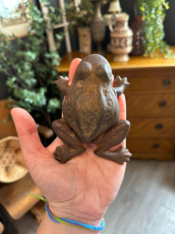 Cast Iron Froggy