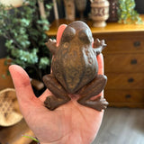 Cast Iron Froggy