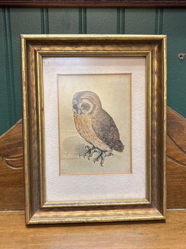 #641 Vintage Gold Framed 7" by 9" Owl Art