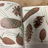 Trees Pocketbook
