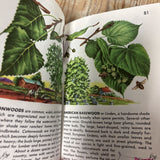 Trees Pocketbook