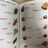 Trees Pocketbook