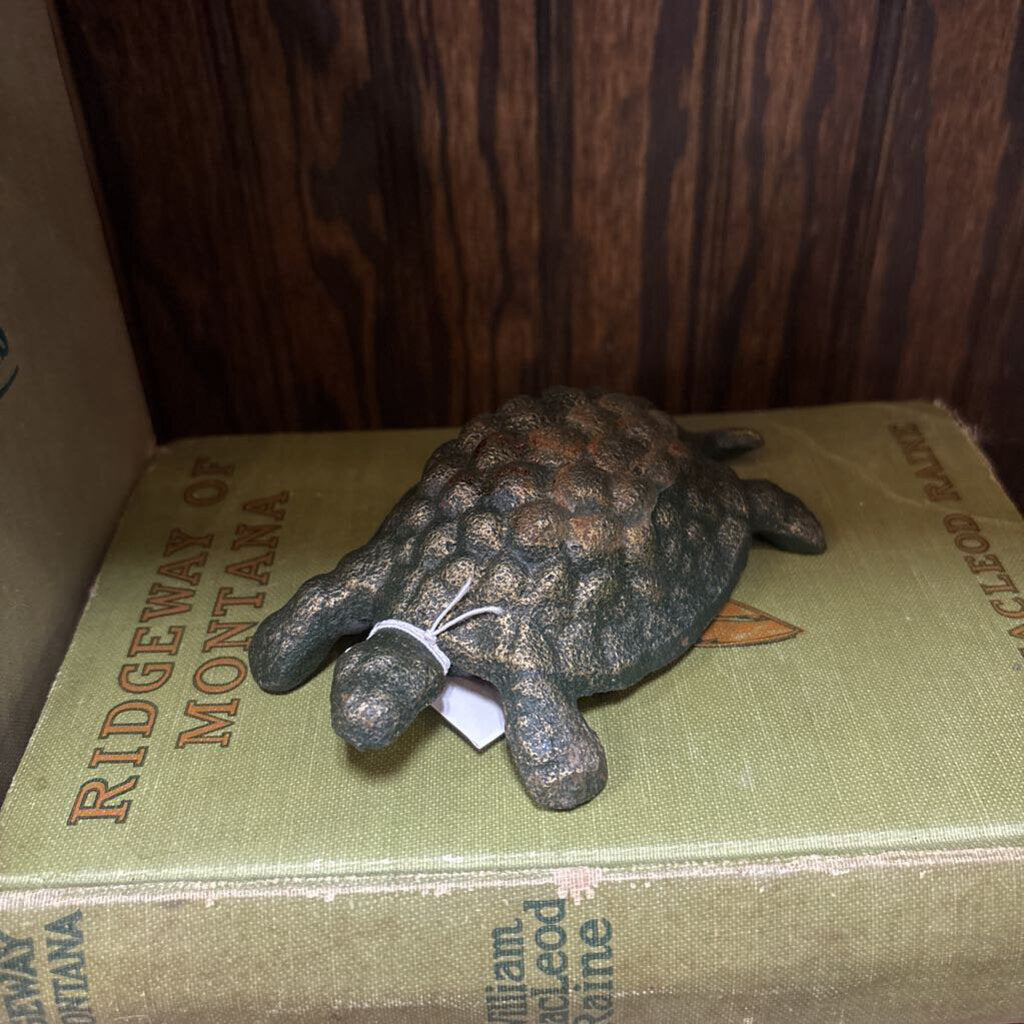 #710 Cast Iron Turtle