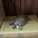 #710 Cast Iron Turtle