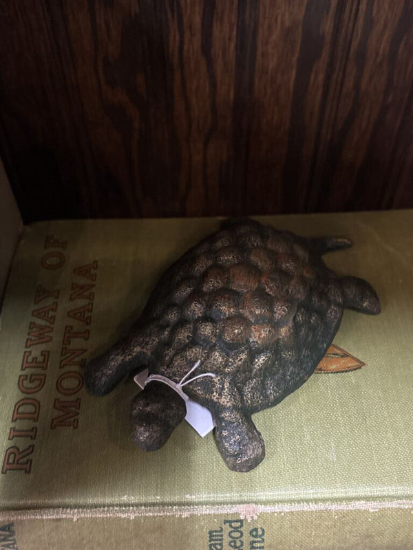 #710 Cast Iron Turtle