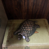#710 Cast Iron Turtle