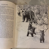 Animal Friends Booklet