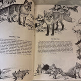 Animal Friends Booklet
