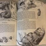 Animal Friends Booklet