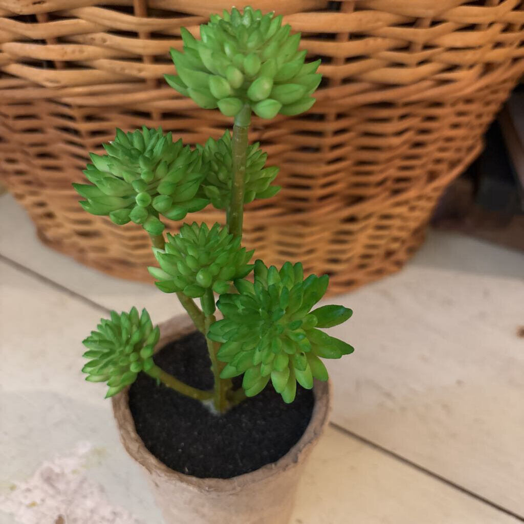 Green Faux Succulent